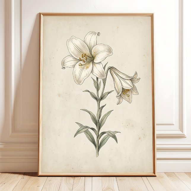 Lily Antique Botanical Wall Art (Creator Uploaded)
