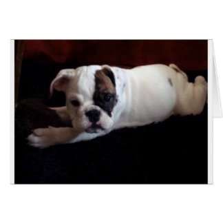 Lily avec jouet