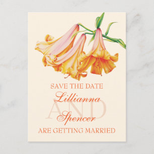 Lily bell fine art Enregistrer la carte postale Da