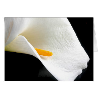 Lily Card