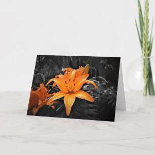 Lily, card