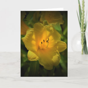 Lily, card