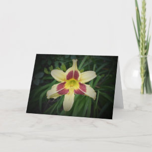 Lily, card