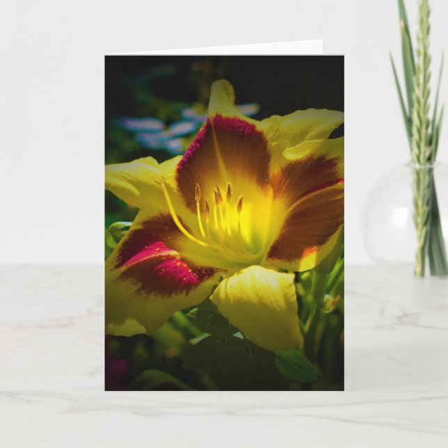 Lily, card (Front)