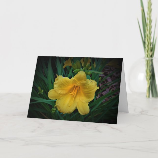 Lily, card (Front)