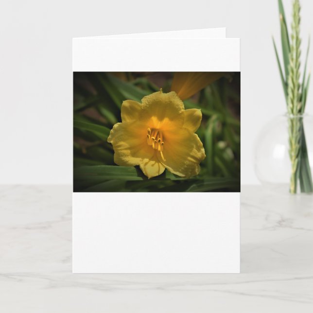 Lily, card (Front)