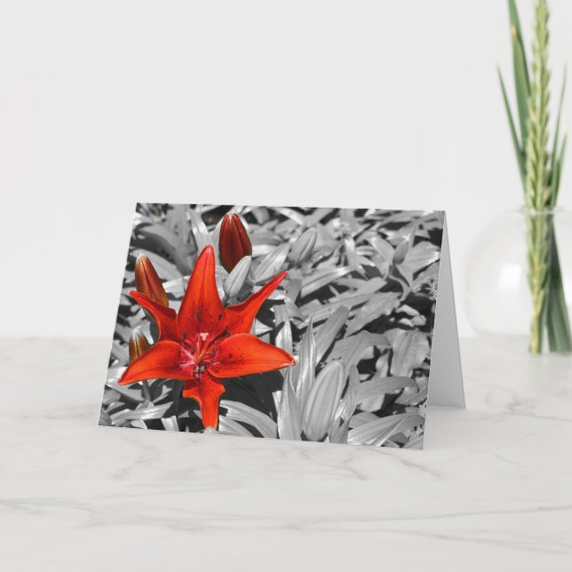 Lily Card (Front)