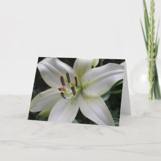 Lily Card
