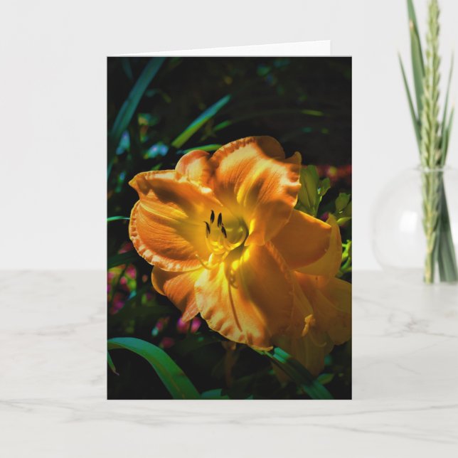 Lily, carte (Devant)