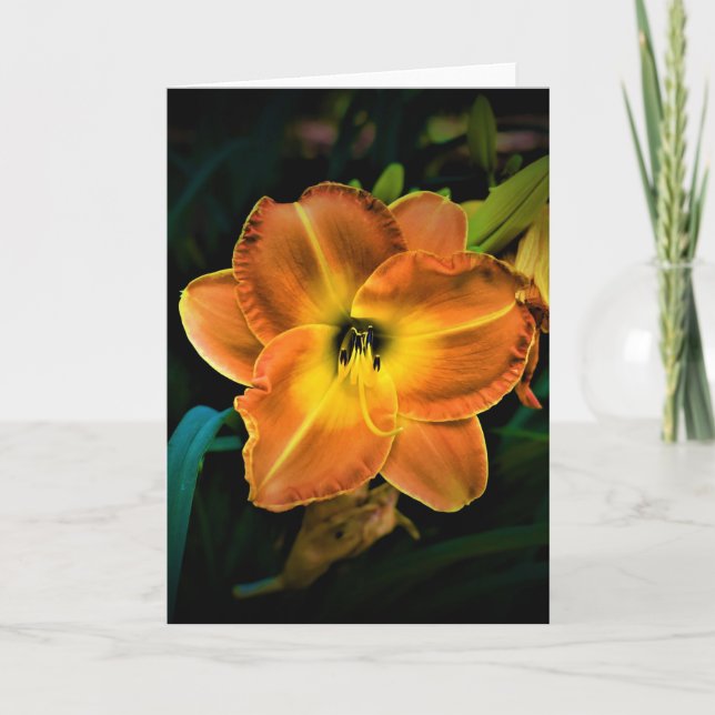 Lily, carte (Devant)