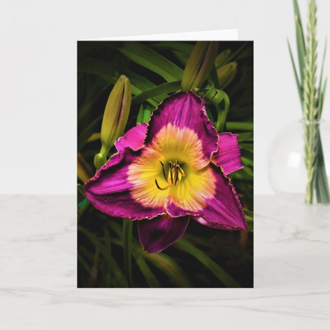 Lily, carte (Devant)