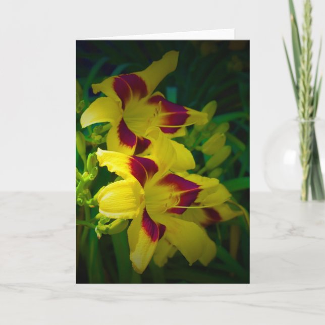Lily, carte (Devant)