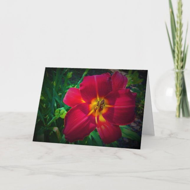 Lily, carte (Devant)