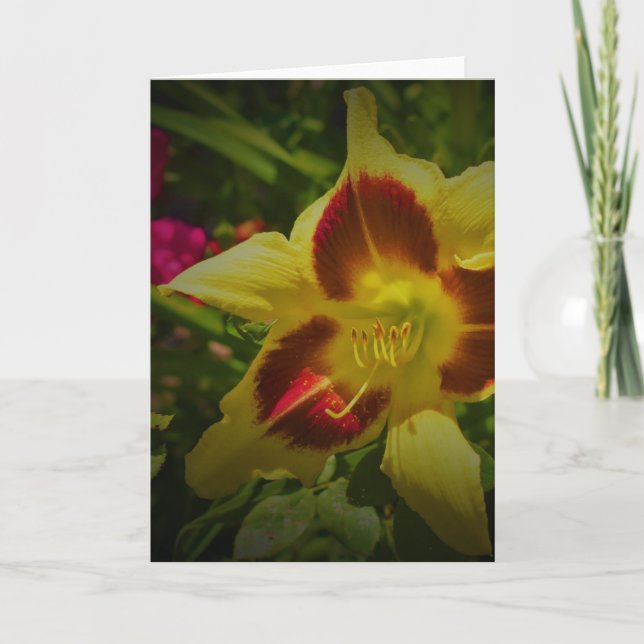 Lily, carte (Devant)