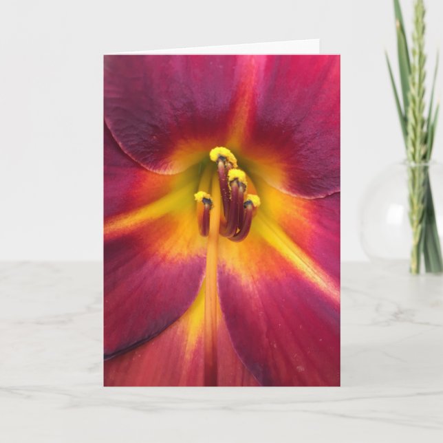 Lily, carte (Devant)