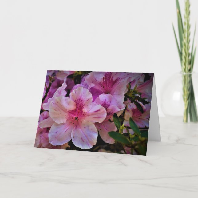 Lily, carte (Devant)