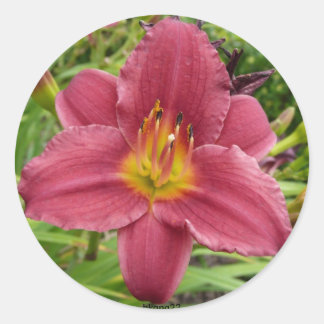 Lily Classic Round Sticker