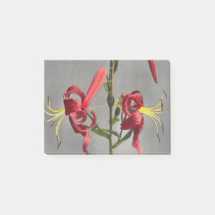 Lily,colored collotype by Kazumasa Ogawa Post-it Notes