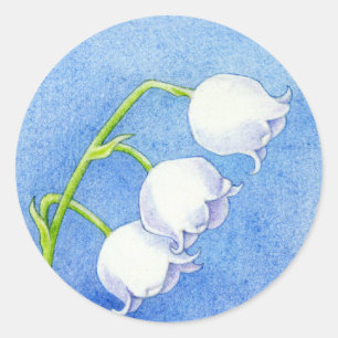 Lily du Sticker de la Vallée