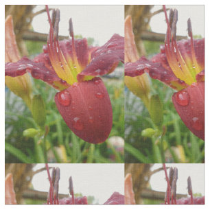 Lily Fabric
