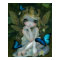 Lily fairy ART PRINT by Jasmine Becket-Griffith