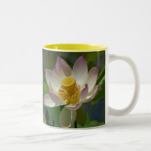 lily flower on water two-toned ceramic mug