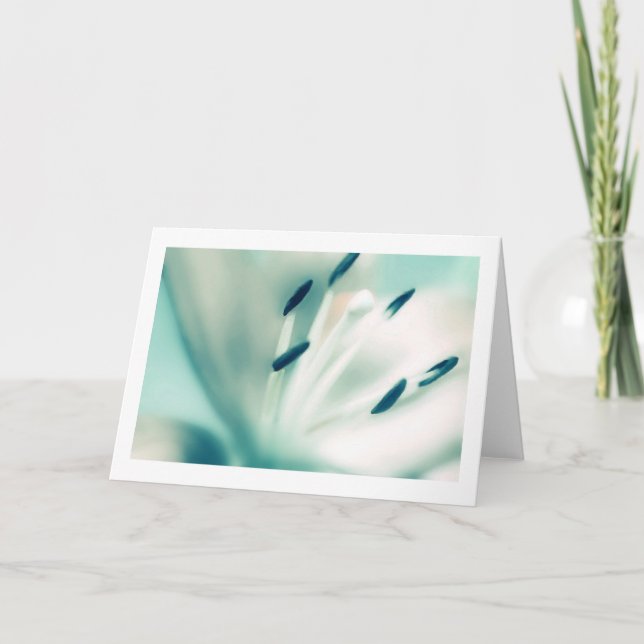 Lily flower photography, Special Occasion Cards (Front)