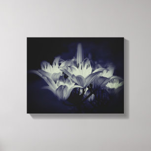 Lily Flowers In Black And White   Canvas Print