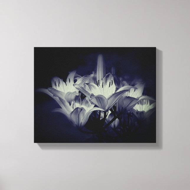 Lily Flowers In Black And White   Canvas Print (Front)
