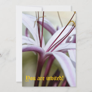 Lily Invitations - Customized