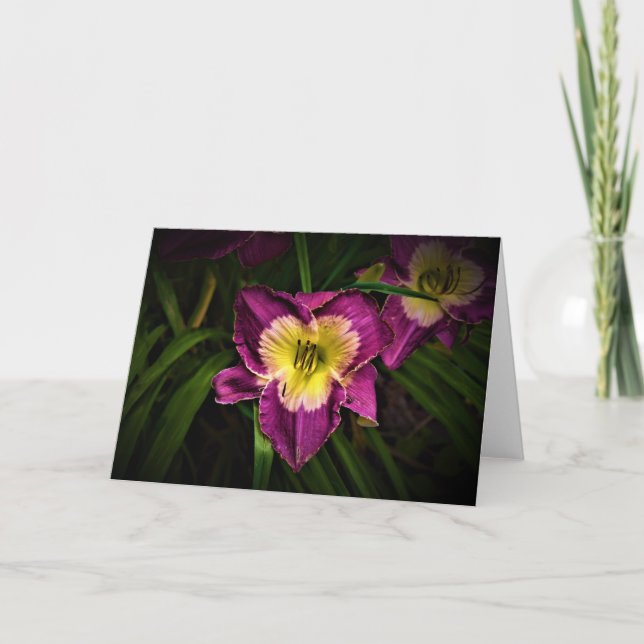 Lily & Ladybug, card (Front)