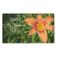 Lily
