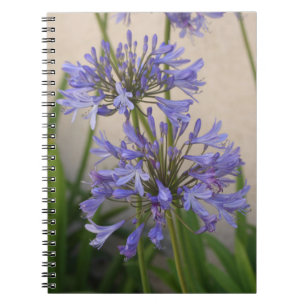 Lily Of The Nile Flowers Notebook