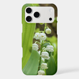 Lily of the Valley