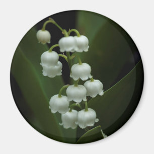 Lily of the Valley-0308 Magnet