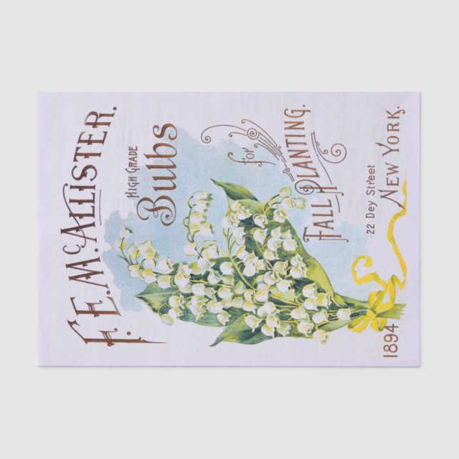 Lily of the Valley Antique Print Tissue Paper (Front)