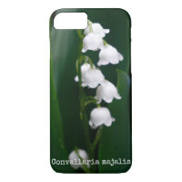 Lily of the Valley Botanical