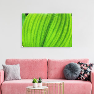 Lily of the Valley Canvas Print