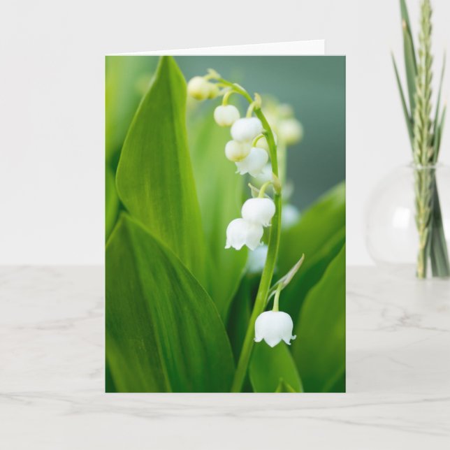Lily of the Valley Card (Front)