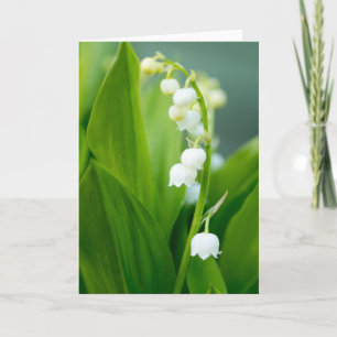 Lily of the Valley Card