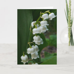 Lily-of-the-Valley Card