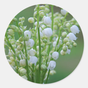Lily of the valley classic round sticker