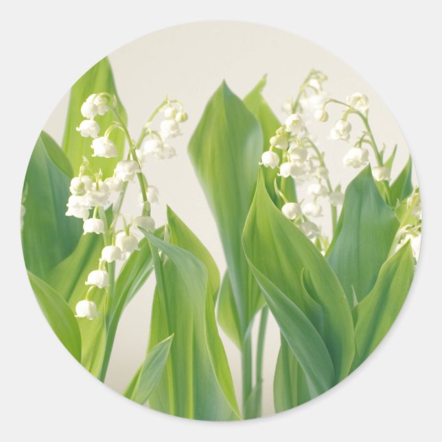Lily of the Valley Classic Round Sticker (Front)