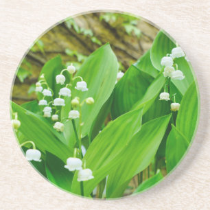 Lily of the Valley Coaster