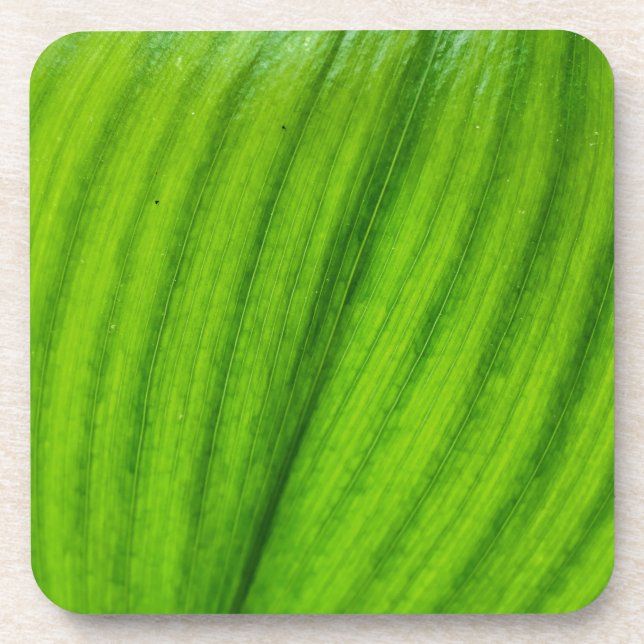 Lily of the Valley Coaster (Front)