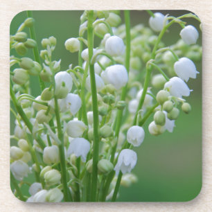 Lily of the valley coaster