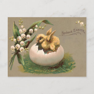 Lily Of The Valley Easter Chick Egg Holiday Postcard