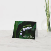 Lily of the Valley Floral Botanical