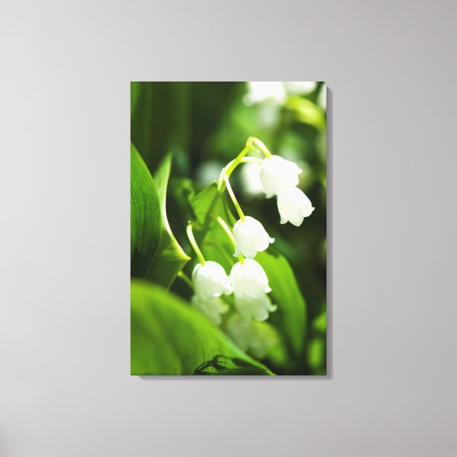 Lily of the valley flower canvas print (Front)