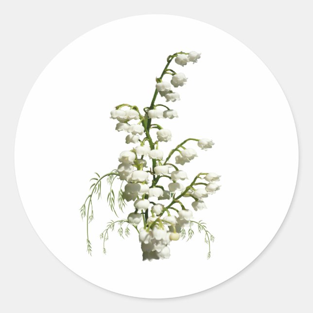 Lily of the Valley flowers Classic Round Sticker (Front)
